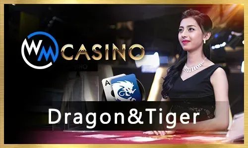 Live Dragon Tiger Philippines